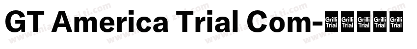 GT America Trial Com字体转换